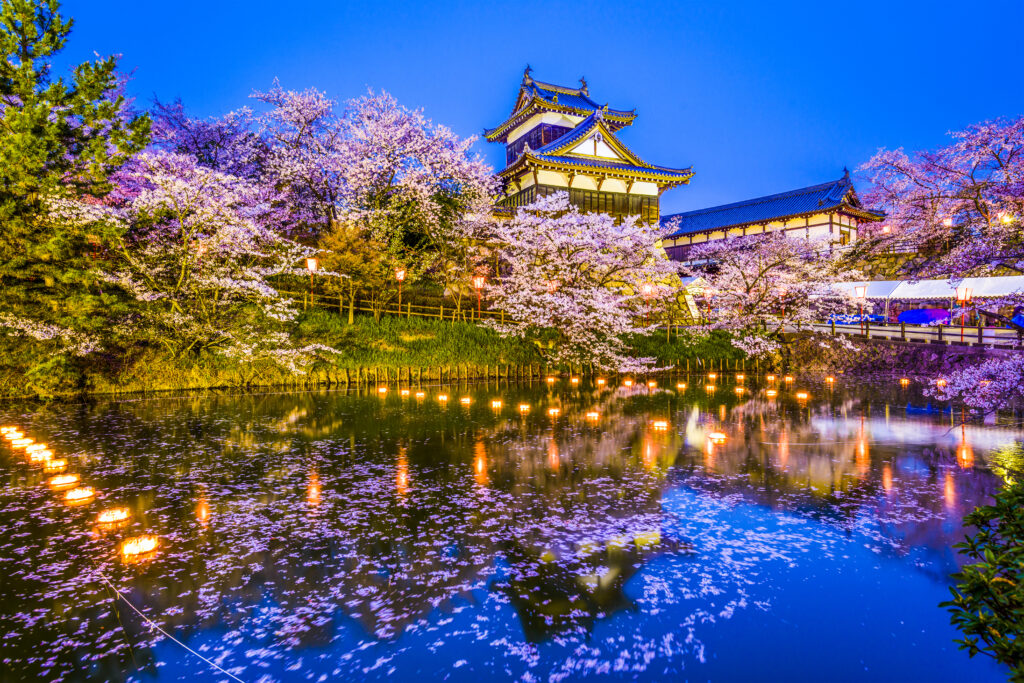 A Japanese castle in the background with a large lake in the foreground. There are sakura blossoms all around and petals in the water.