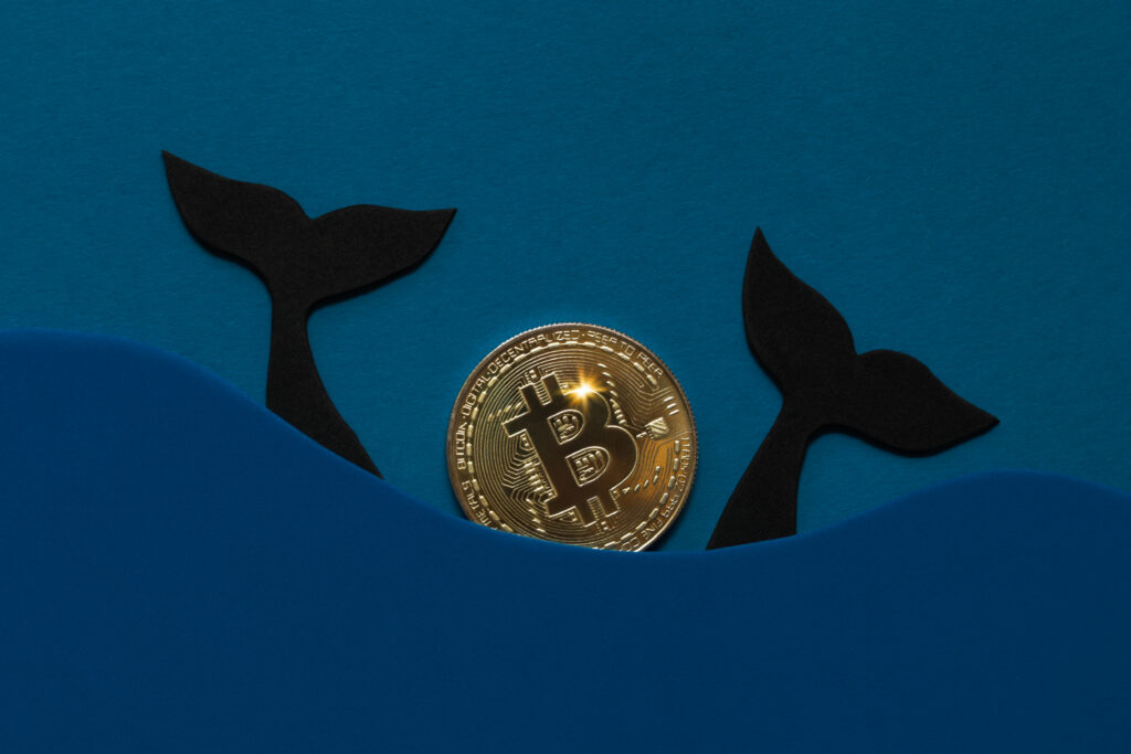 two whale tails and a bitcoin in between against a blue background