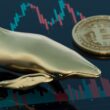 a gold whale and a gold bitcoin on top of a trading chart