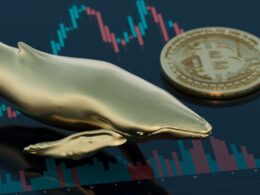 a gold whale and a gold bitcoin on top of a trading chart