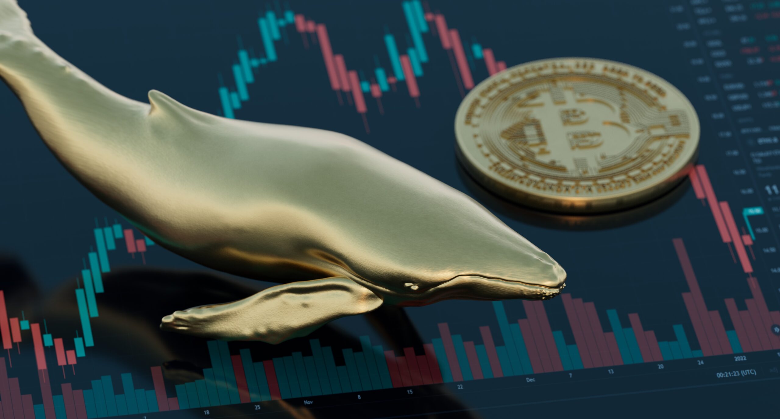 how to follow whales in crypto