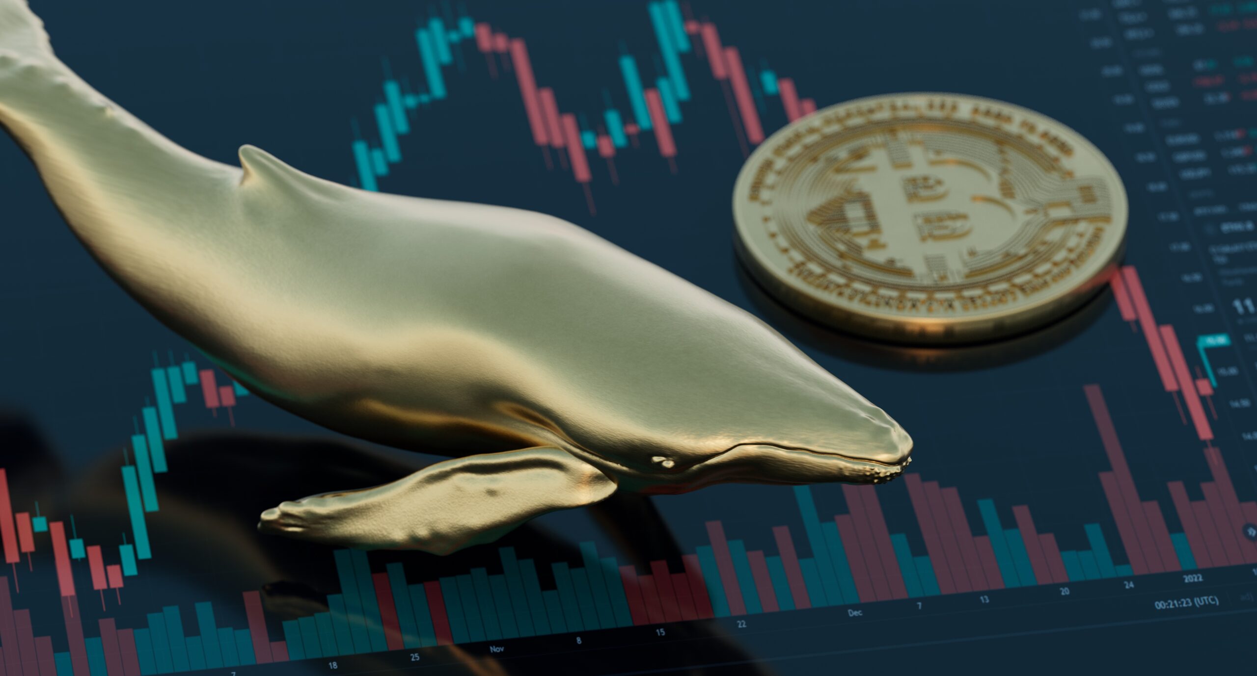 what happens when whales buy crypto