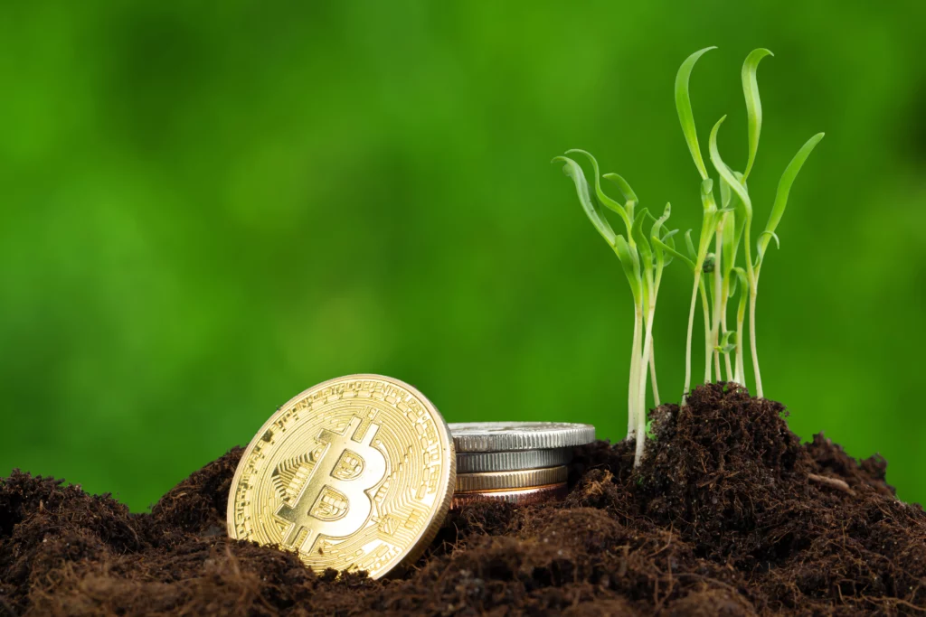 A stack on bitcoins are set beside some sprouting plants.